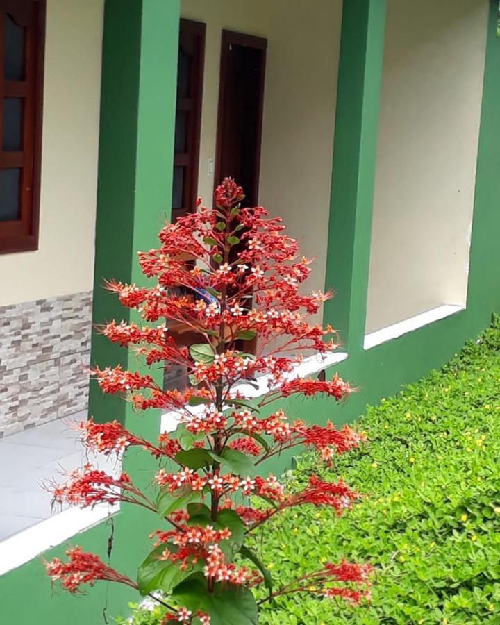 Wikungo Hotel Puerto Narino Екстер'єр фото